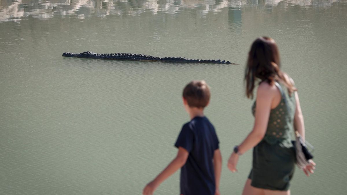 Escultura ‘El Drac  de na Coca' en el lago del Parc de la Mar