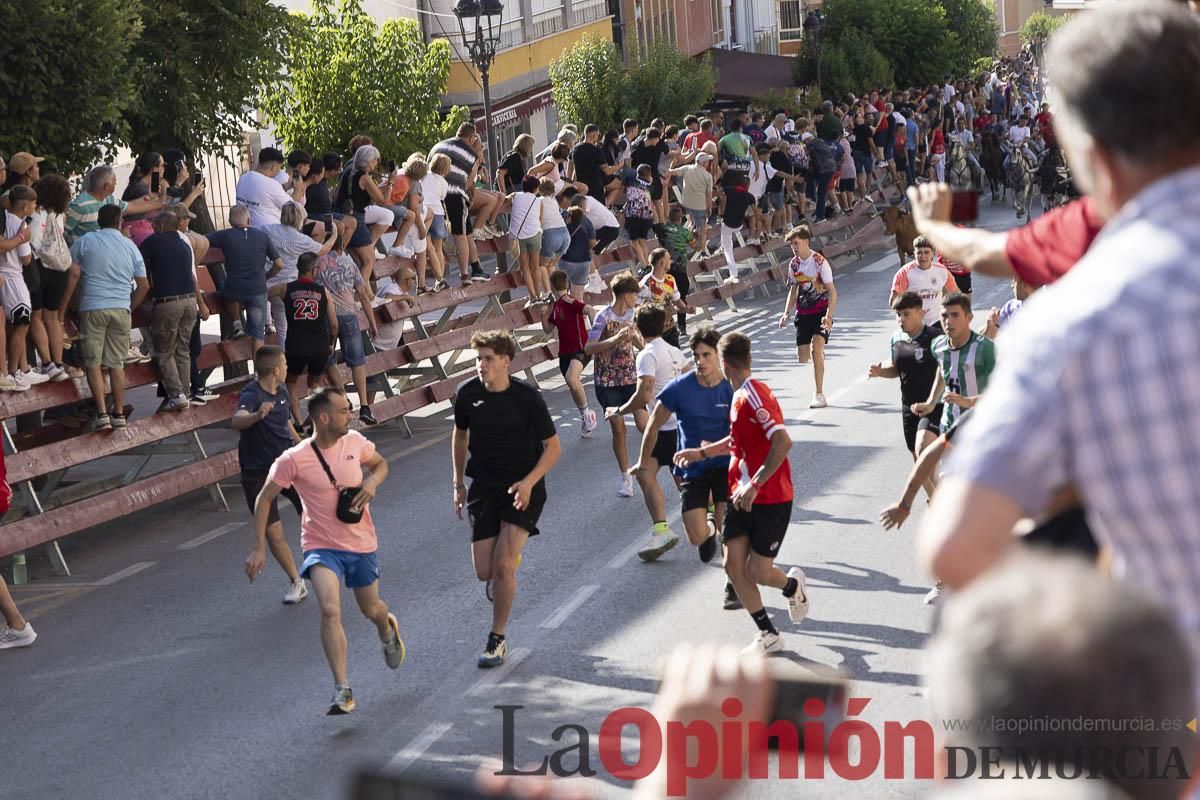 Primer encierro de las Fiestas de Moratalla
