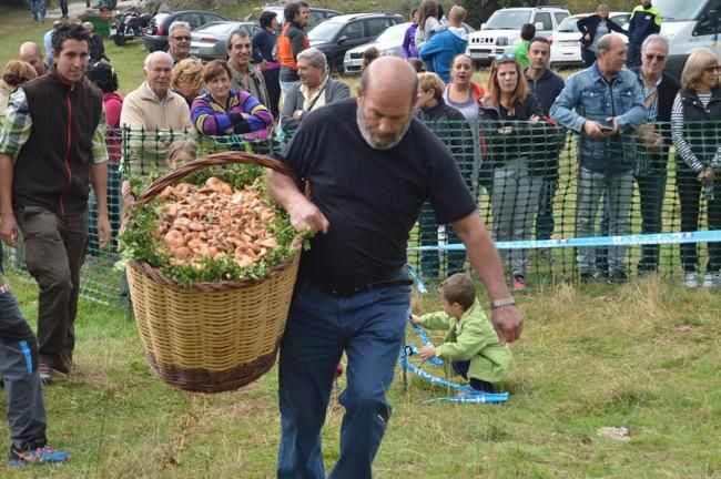 Concurs de bolets de Berga