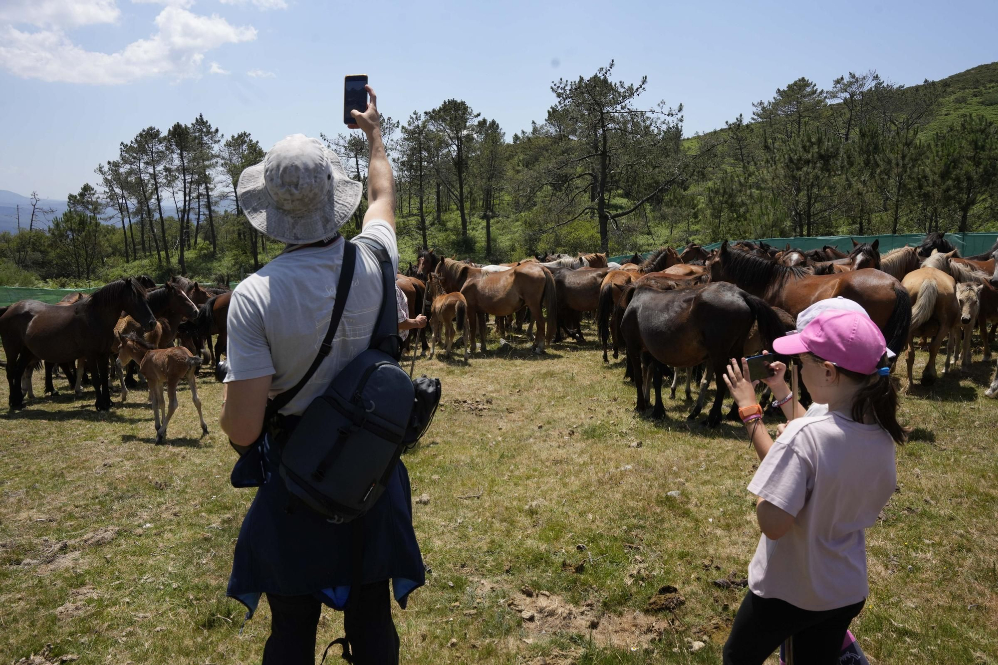 La primera 'Baixa das Bestas' como  Ben de Interese Cultural (BIC) na aldea de Sabucedo dejo estas imágenes