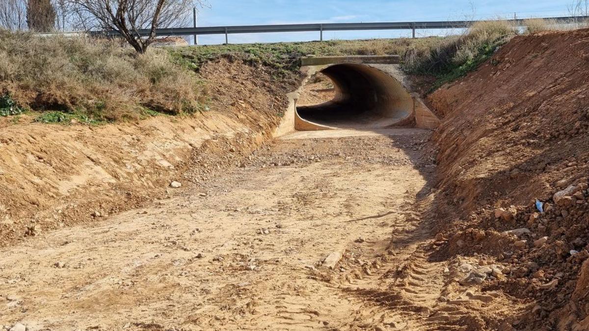 La Demarcación de Carreteras del Estado de Aragón ha sido la responsable de la limpieza de estos tramos. | SERVICIO ESPECIAL