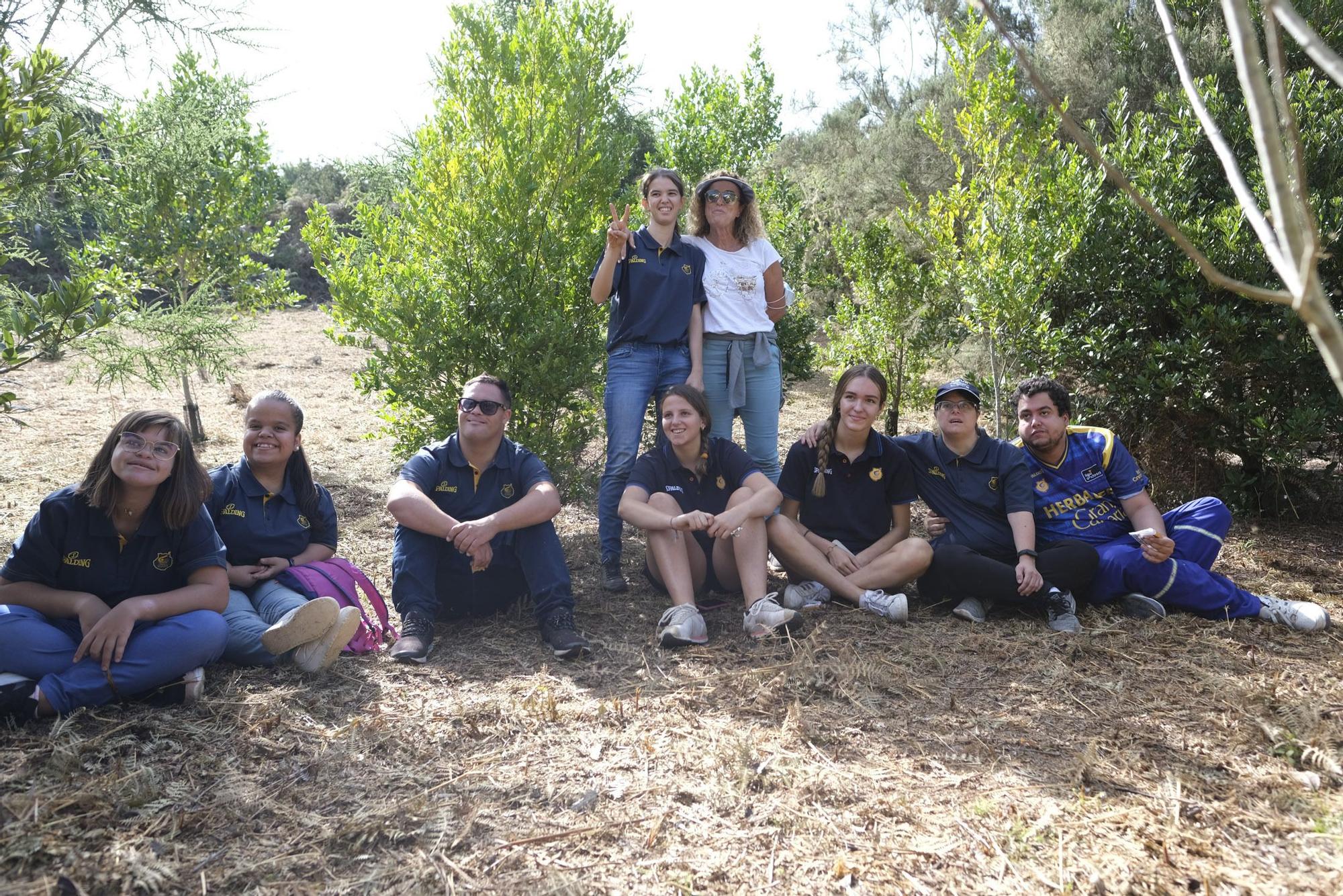 Reforestación Compromiso Granca