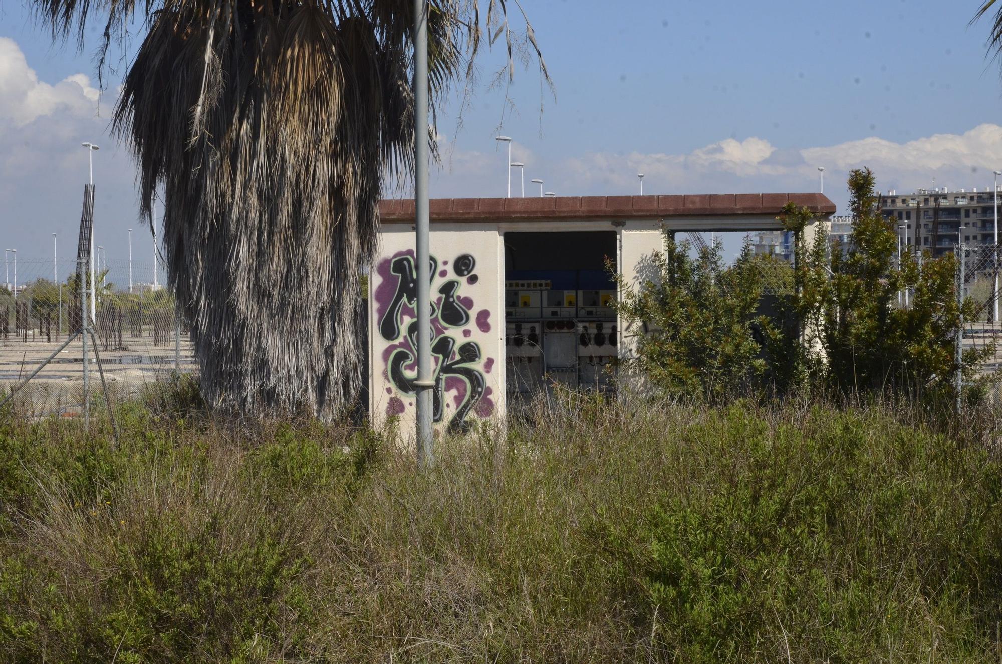 El PAI Belcaire Sur de Moncofa, una urbanización abandonada y habitada solo por la maleza