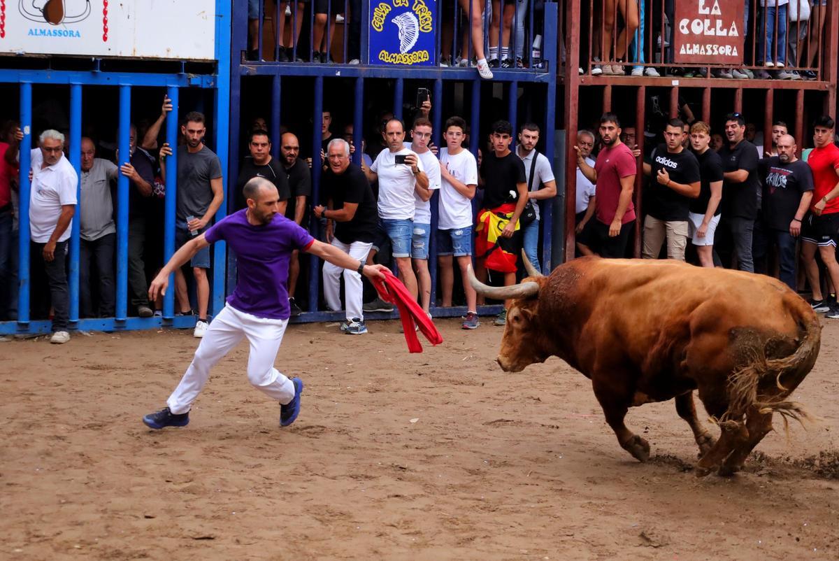 Así ha sido la última jornada de 'bous per la Vila' en Almassora