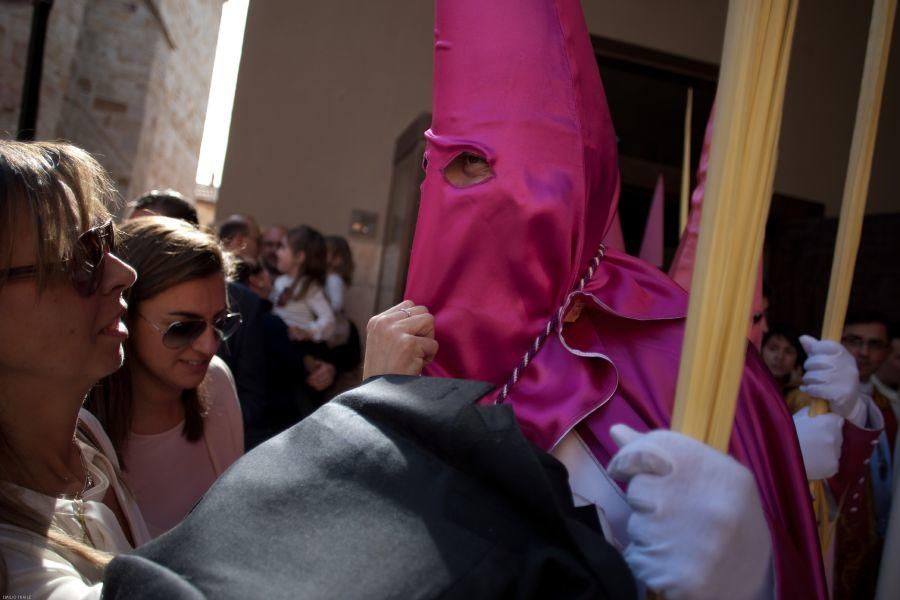 Semana Santa en Zamora: La Borriquita