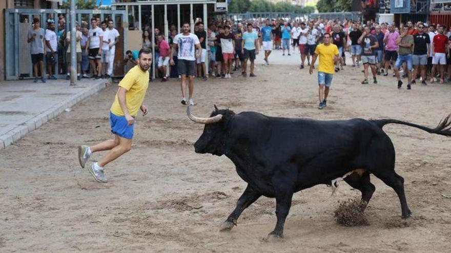 Arrancan los actos taurinos del fin de semana en Castellón