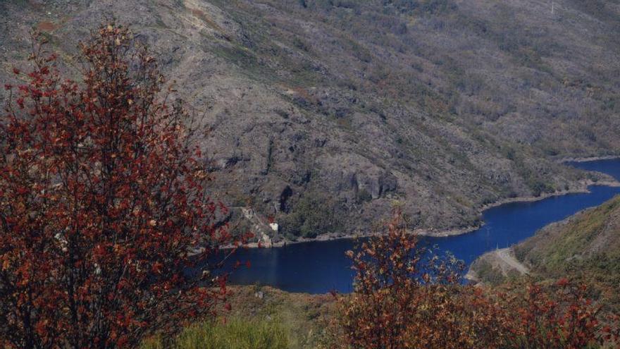 Nuestras palabras: los elementos del paisaje