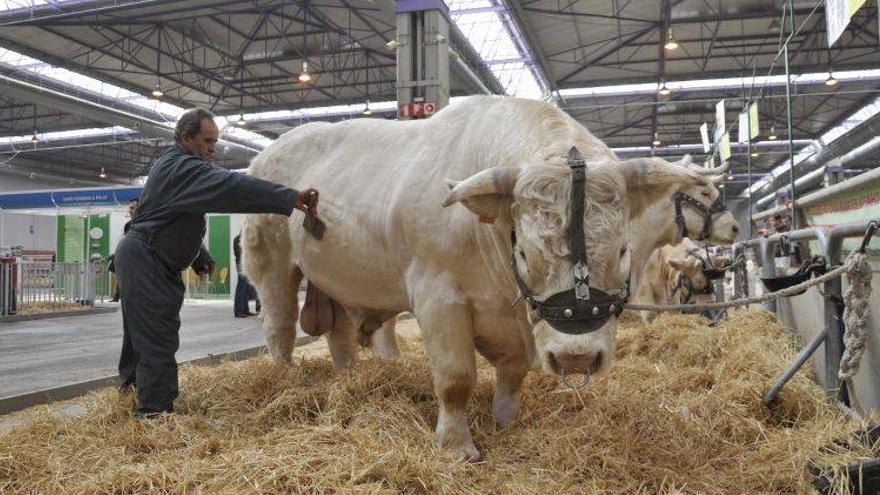 Figan exhibe la última tecnología para mejorar la vida en la granja