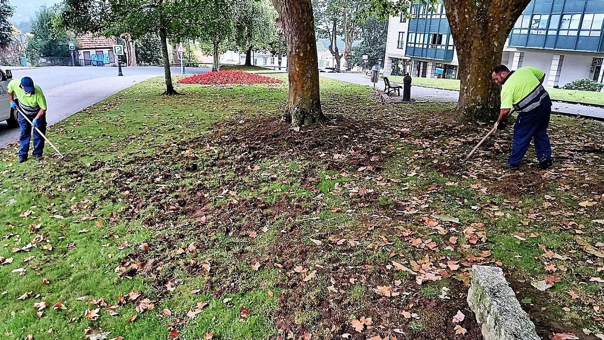 Operarios ayer arreglando los jardines del casco urbanos tras el paso de los jabalíes.  | // L.O.