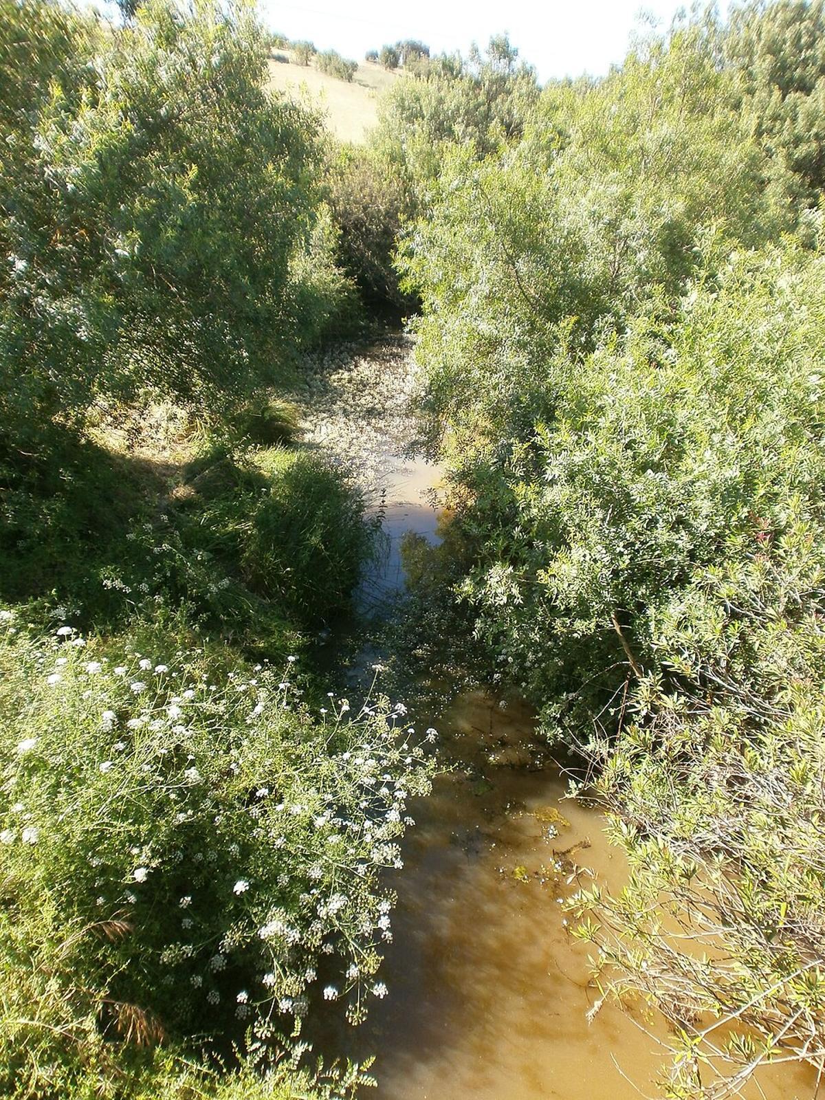 Río Zapatón, Villar del Rey