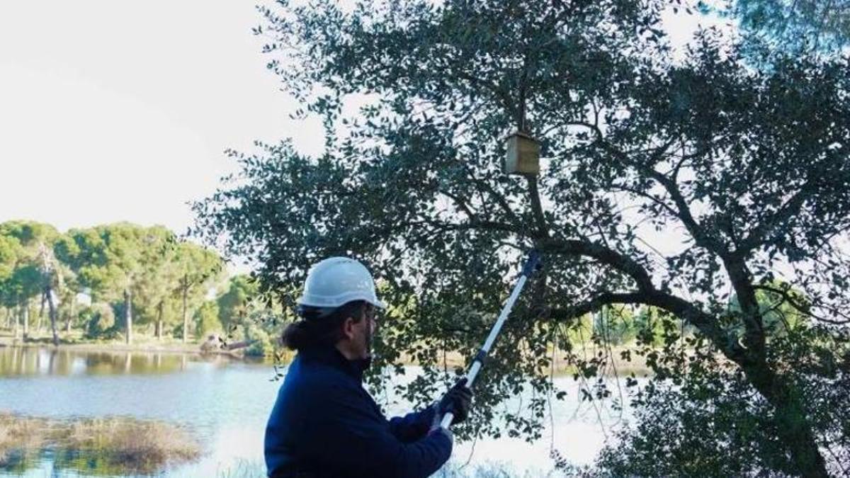 Campanya contra els mosquits transmissors del virus del Nil