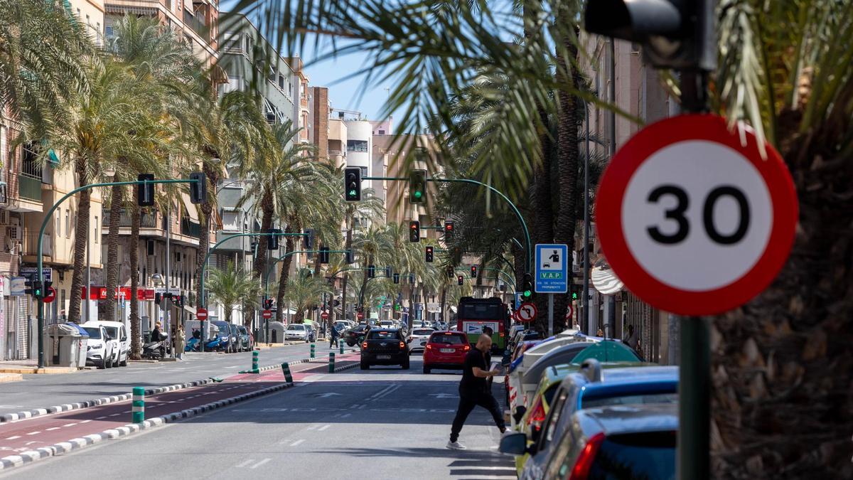 El aspecto que presenta en estos momentos la calle Pedro Juan Perpiñán, con las palmeras que flanquean el vial.