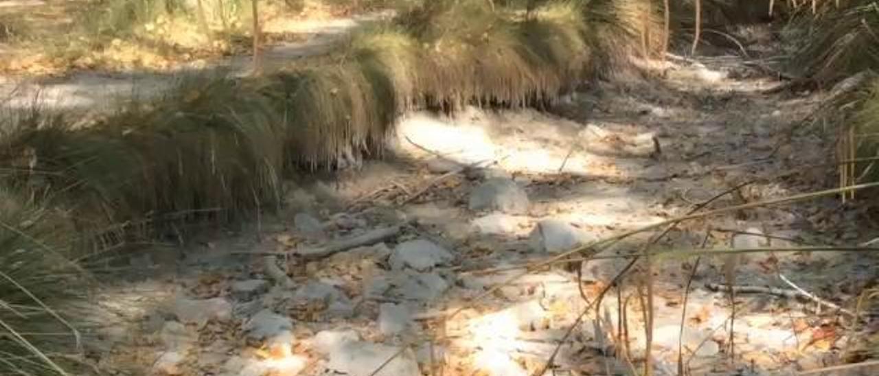 El Racó se seca y deja a Alcoy sin zonas naturales para el baño