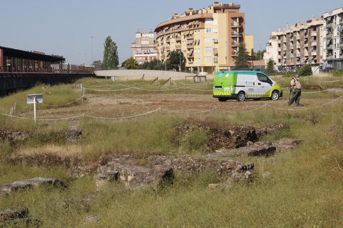 Urbanismo y Sadeco inician la limpieza del yacimiento de Cercadilla Urbanismo y Sadeco inician la limpieza del yacimiento de Cercadilla