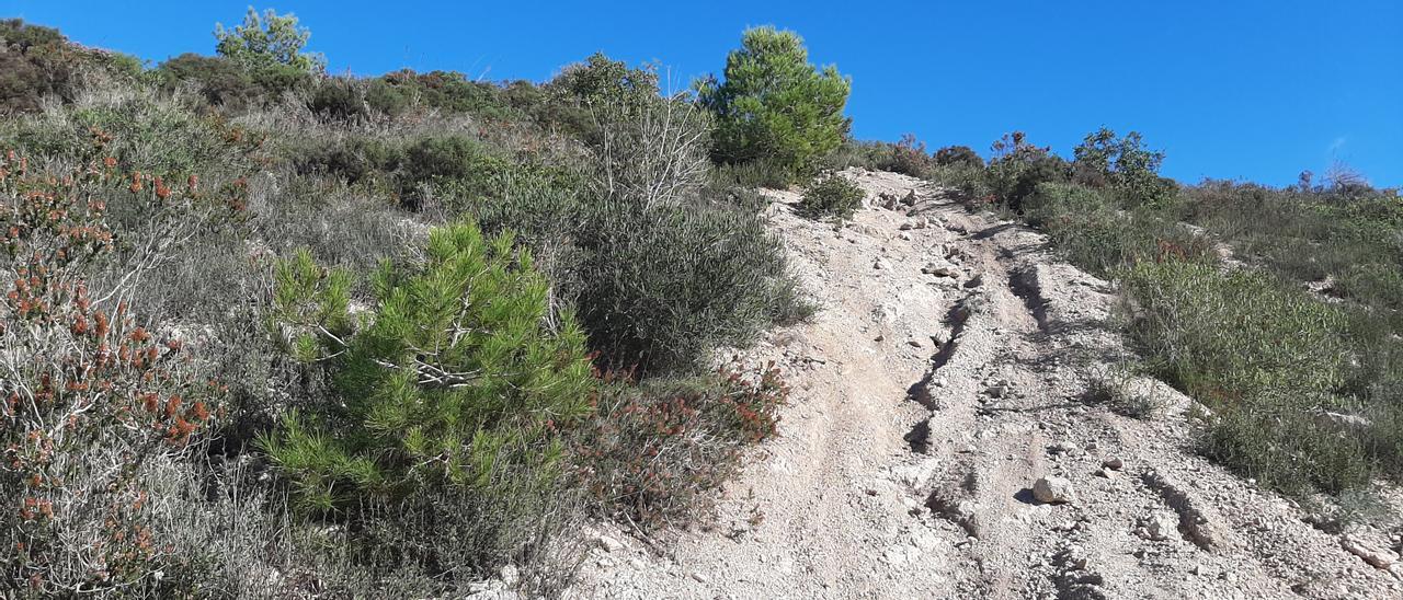 Terraferida denuncia un circuito de motocross en zona ANEI en Felanitx