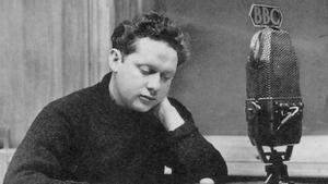 El jove Dylan: retrat de l’artista com a cadell