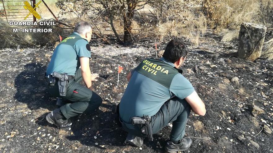 Detenido el supuesto autor de dos incendios forestales en Torrejoncillo