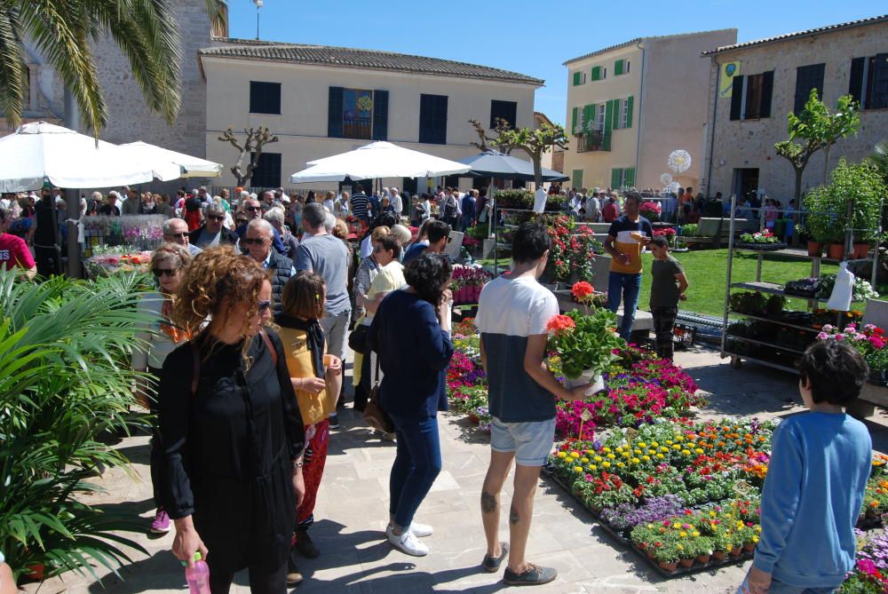 Costitx en Flor, la feria más fotogènica de Mallorca