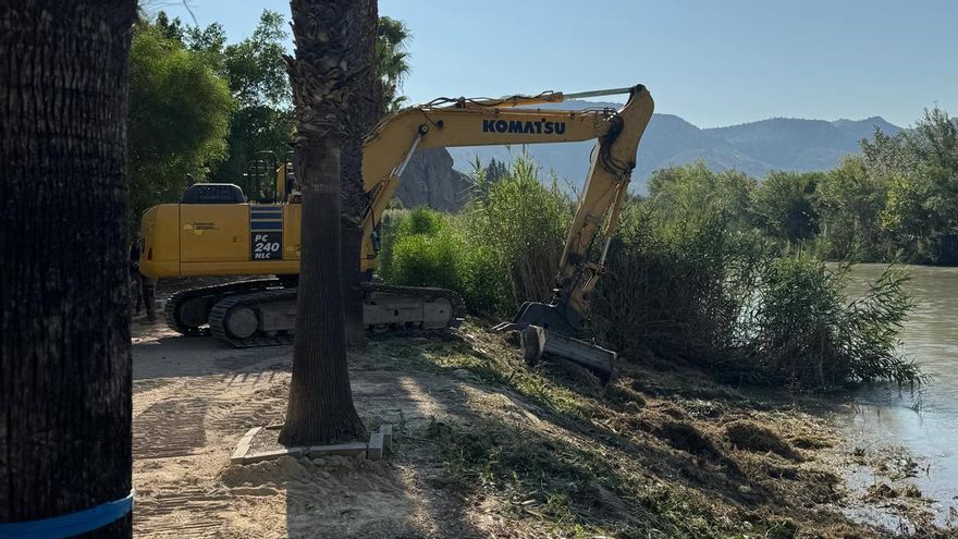 Desbroce y limpieza en el río Segura a su paso por el Parque de las Cuevas