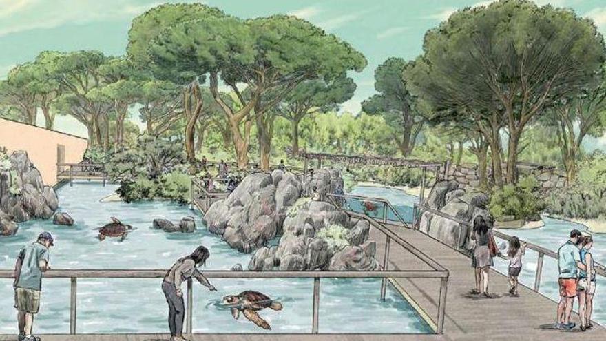 Recreación de las piscinas de recuperación de tortugas, una zona puntera a nivel nacional de este proyecto en el que se invertirán 4 millones de euros