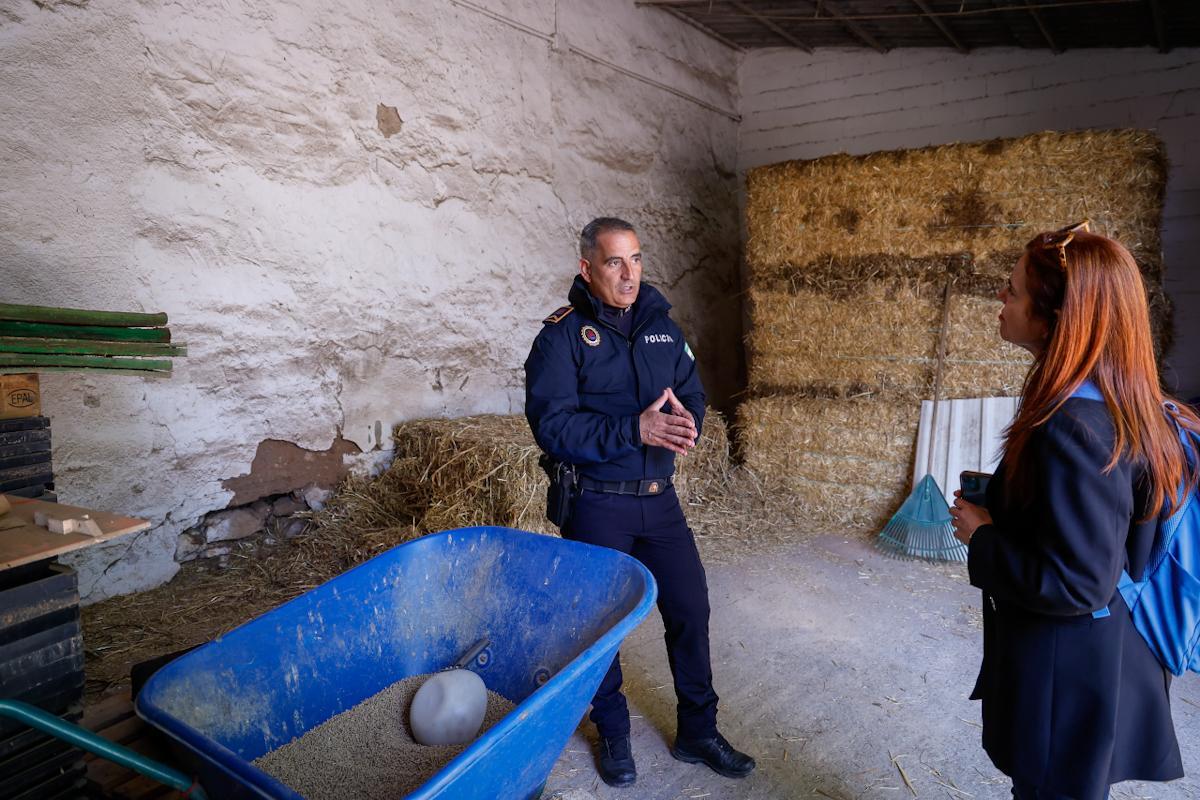 La unidad de caballería de la Policía Local de Córdoba cumple 150 años La unidad de caballería de la Policía Local de Córdoba cumple 150 años