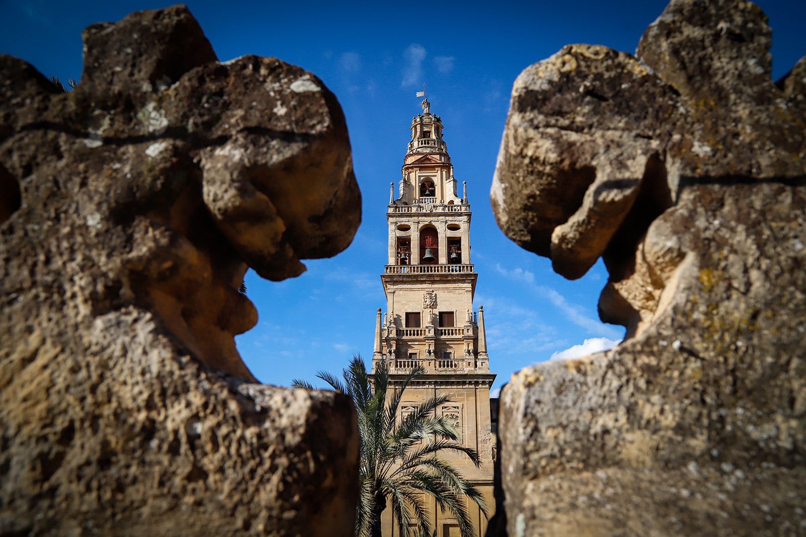 La Mezquita-Catedral vista desde sus cubiertas