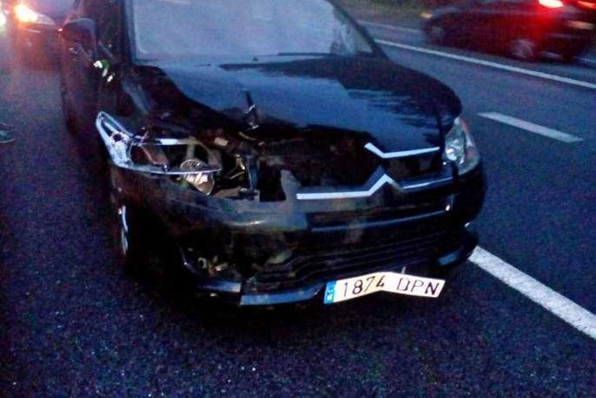 La presencia de dos jabalíes en el corredor se salda con un herido y 3 vehículos destrozados
