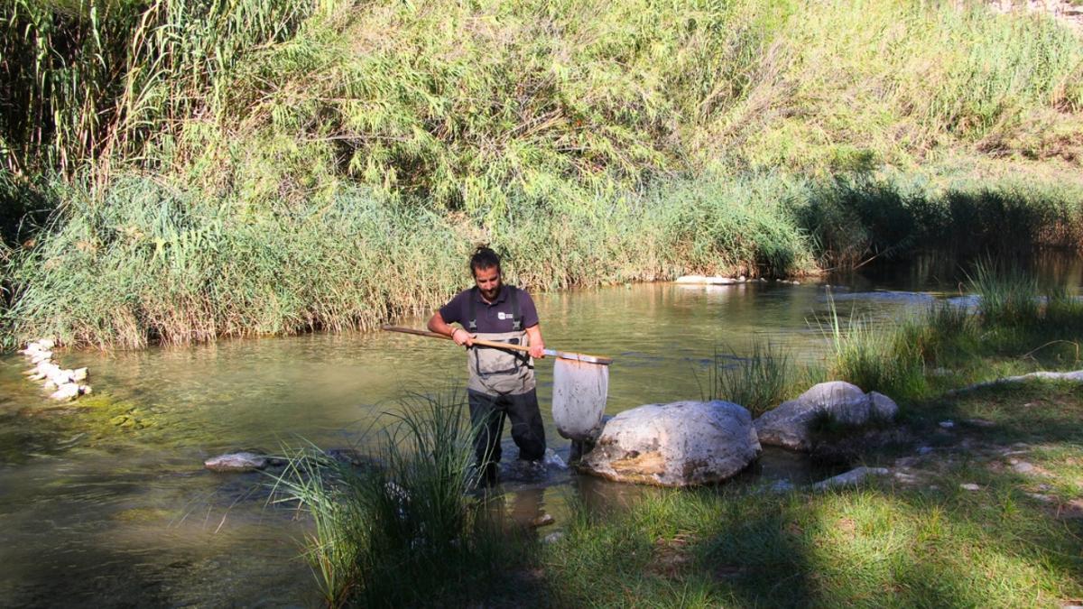 Las evaluaciones las realizan biólogos especialistas y expertos de la rama ambiental.