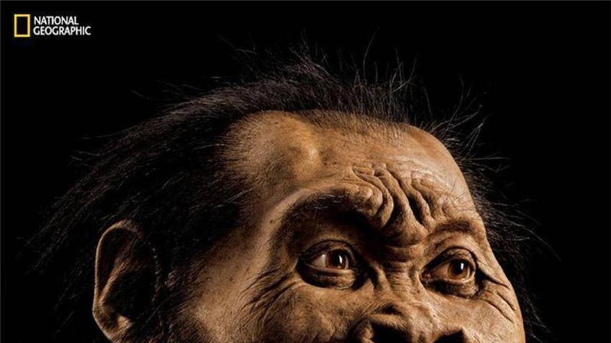 Homo nadeli, una nueva especie de homo con rasgos de Australopithecus