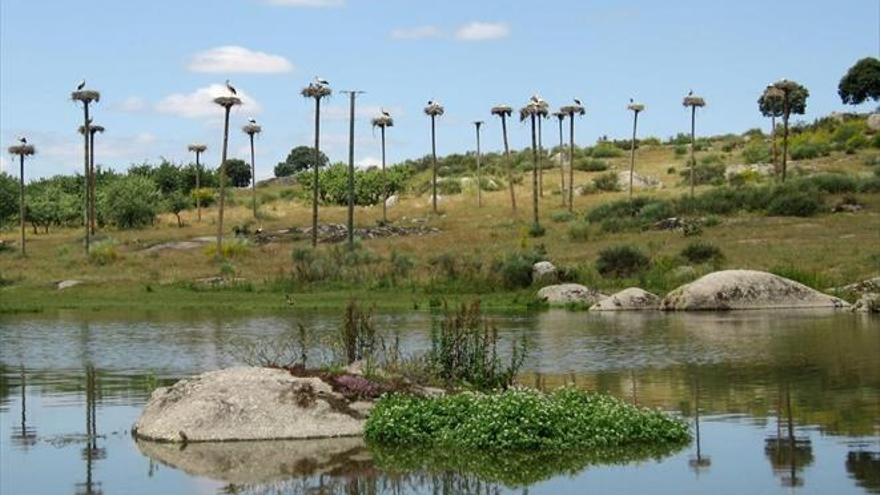 Arrancan las obras del humedal de la cigúeña