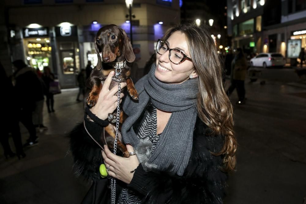 Oviedo bautiza a sus perros por el día de San Antón