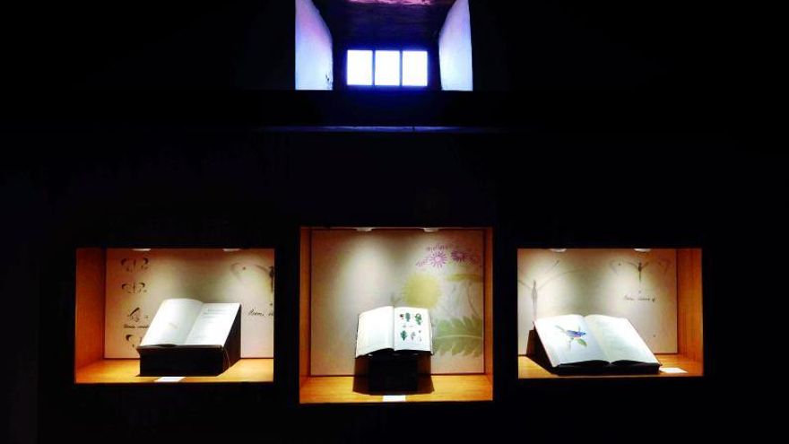 El Cabildo de Tenerife inaugura la muestra temporal 'Biodiversidad entre páginas'