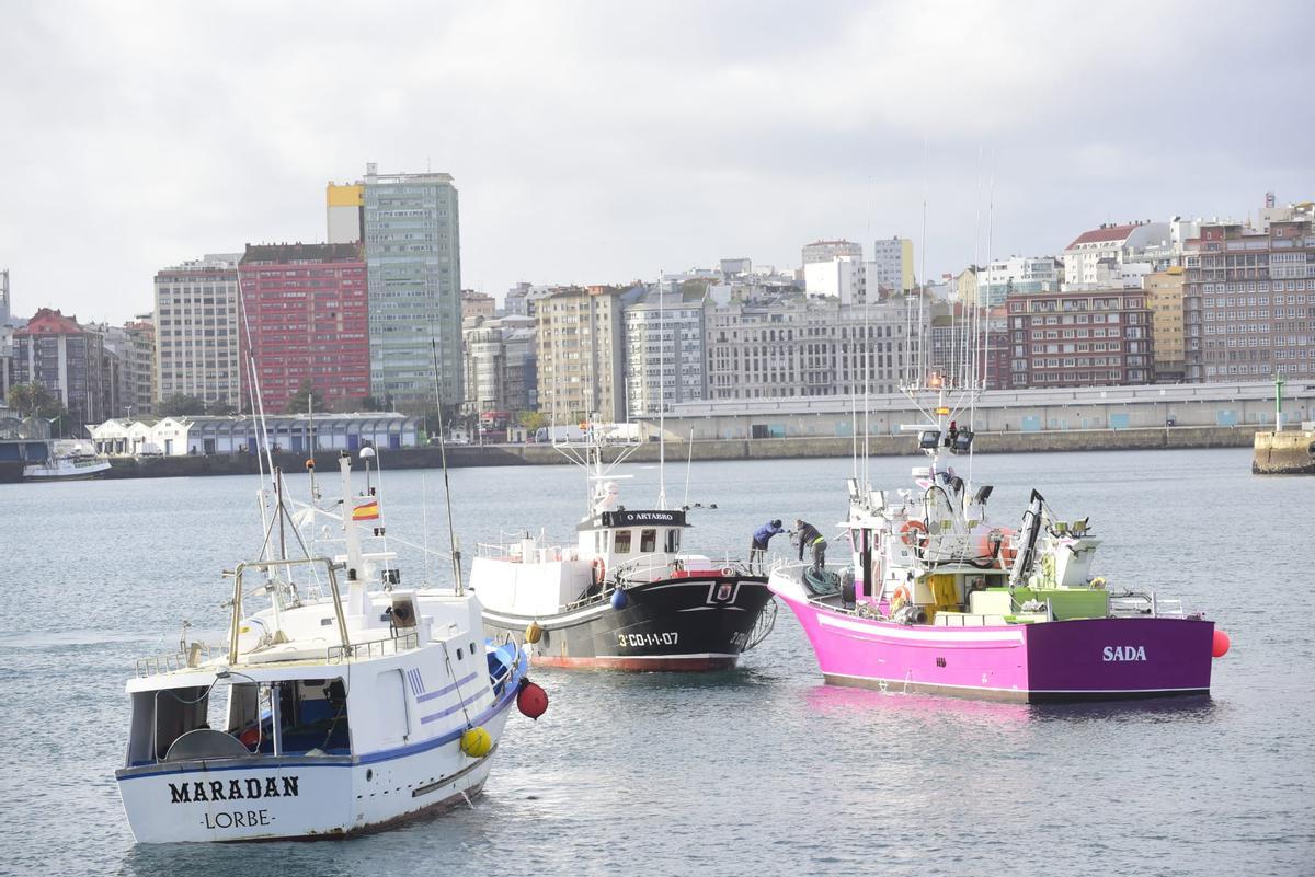 Barcos en la protesta de O Parrote.