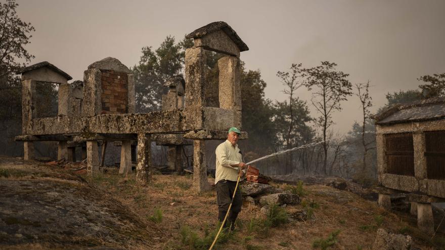 La nueva orden de la Xunta sobre el uso de maquinaria para evitar incendios abre un frente con el campo y la industria forestal: «La prevención es una responsabilidad compartida»