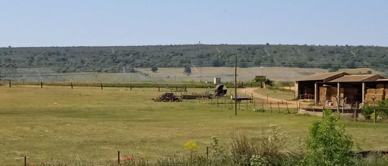 Terreno agrícola de Pozuelo de Tábara, susceptible de albergar parte de uno de los parques fotovoltaicos. | Ch. S.