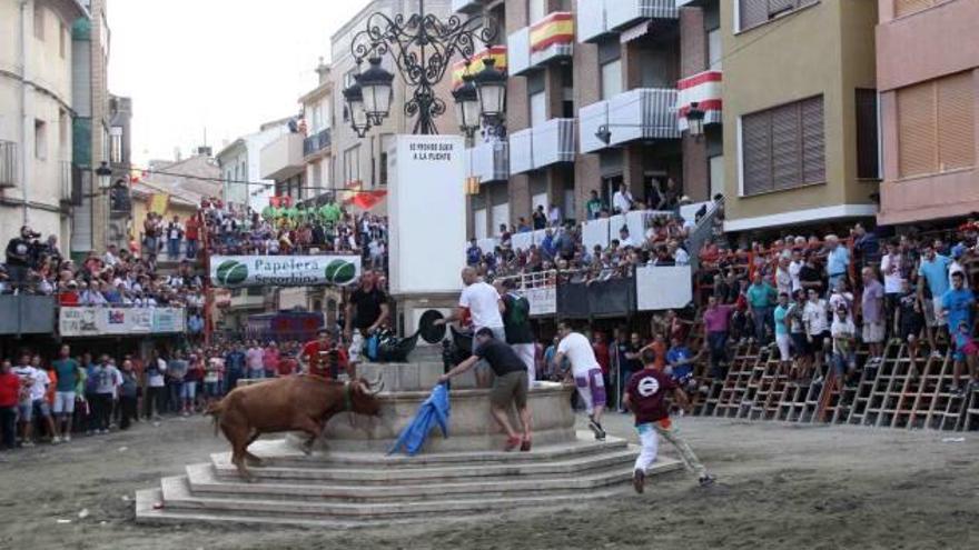 Tarde de concurso de ganaderías