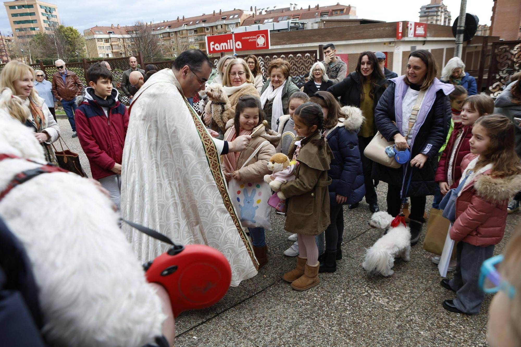 Bendición mascotas en Gijón en la parroquia de Viesques