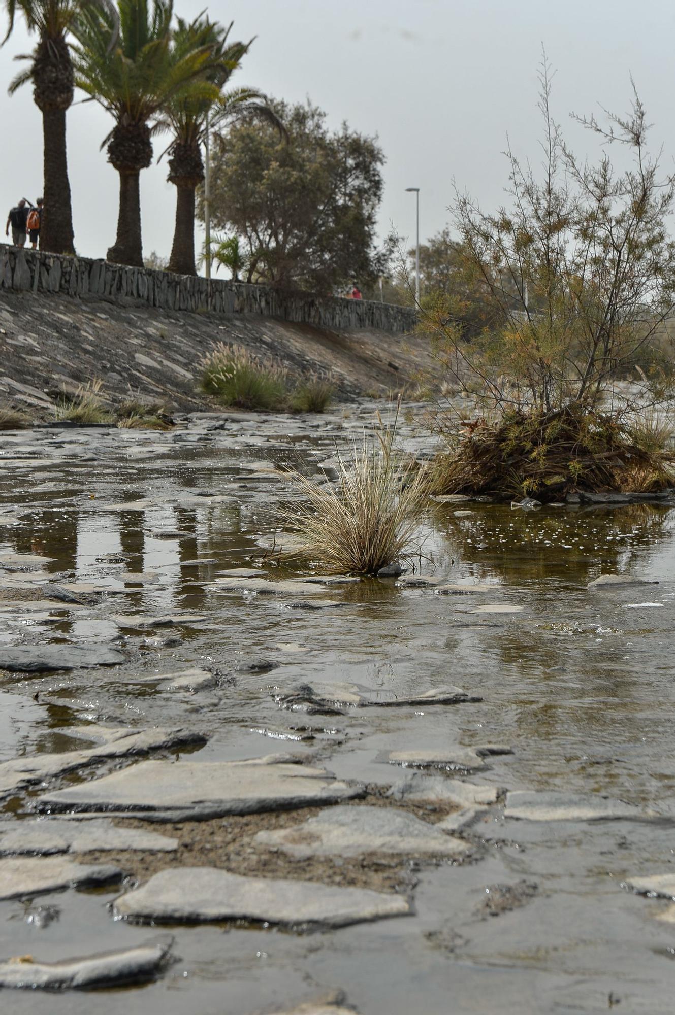 La Charca de Maspalomas después del ciclón Hermine