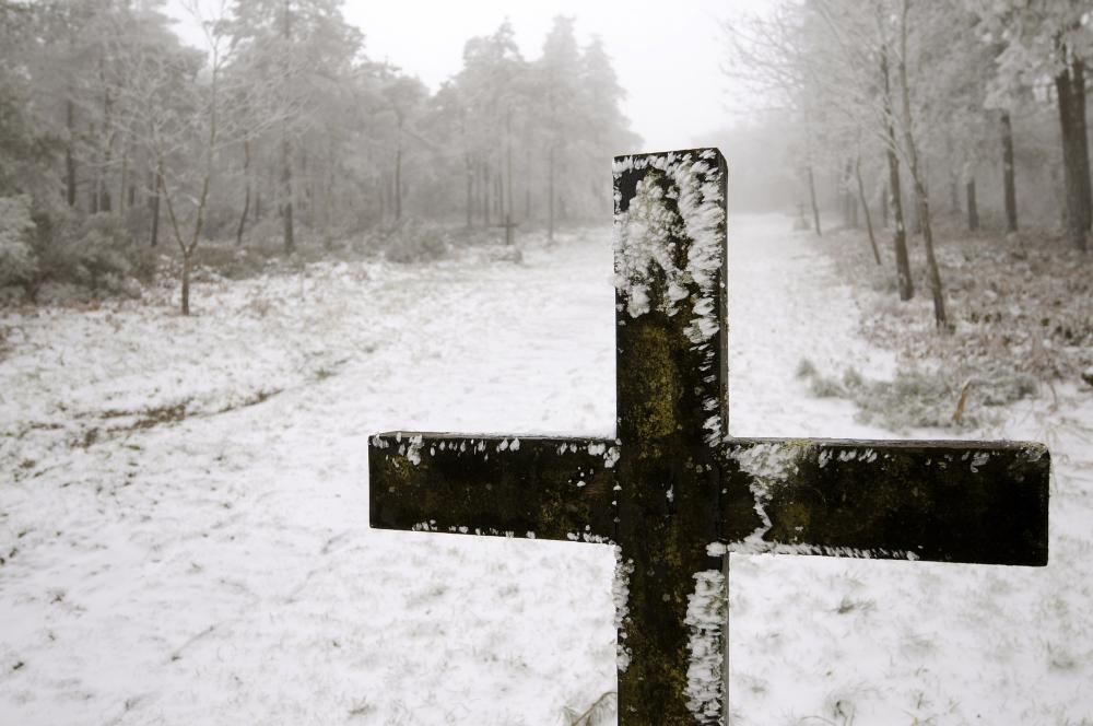 Un manto de nieve para recibir a la primavera