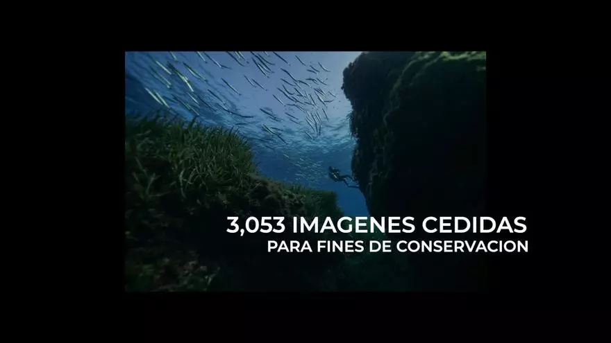 Un mensaje dentro de una botella para activar el compromiso con el mar Balear