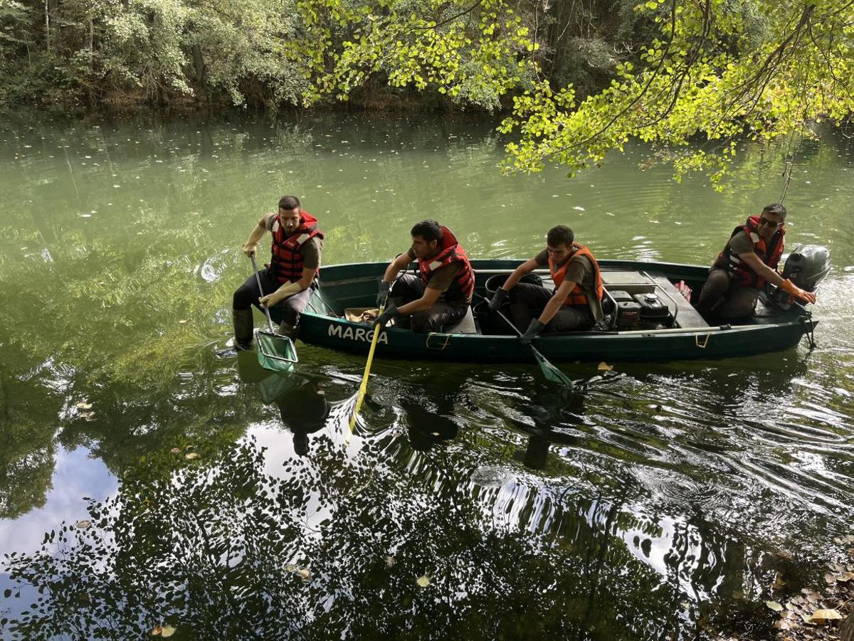 La Comunidad de Madrid retiró en 2025 a más de 4.000 animales exóticos invasores del medio natural para proteger la biodiversidad.
