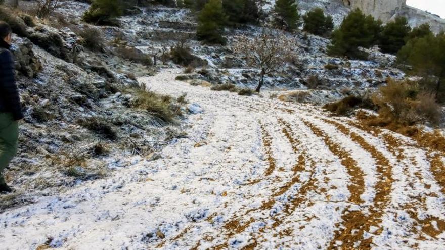 Un campo vestido de blanco, esta mañana, en la zona de Aitana