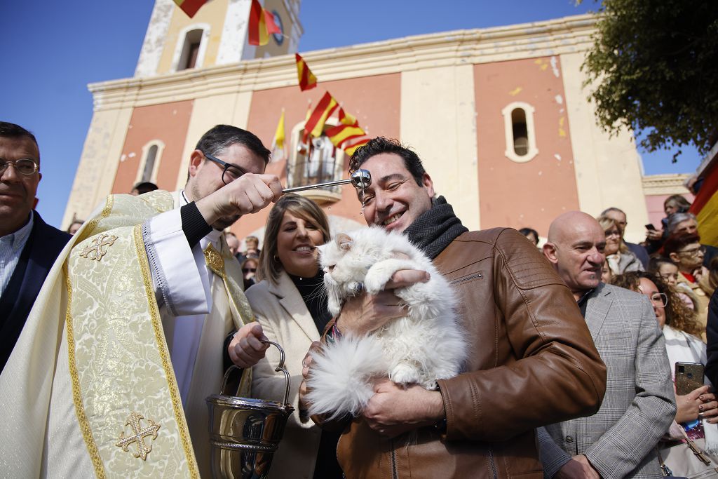 Las mejores imágenes de la bendición de animales por San Antón en Cartagena