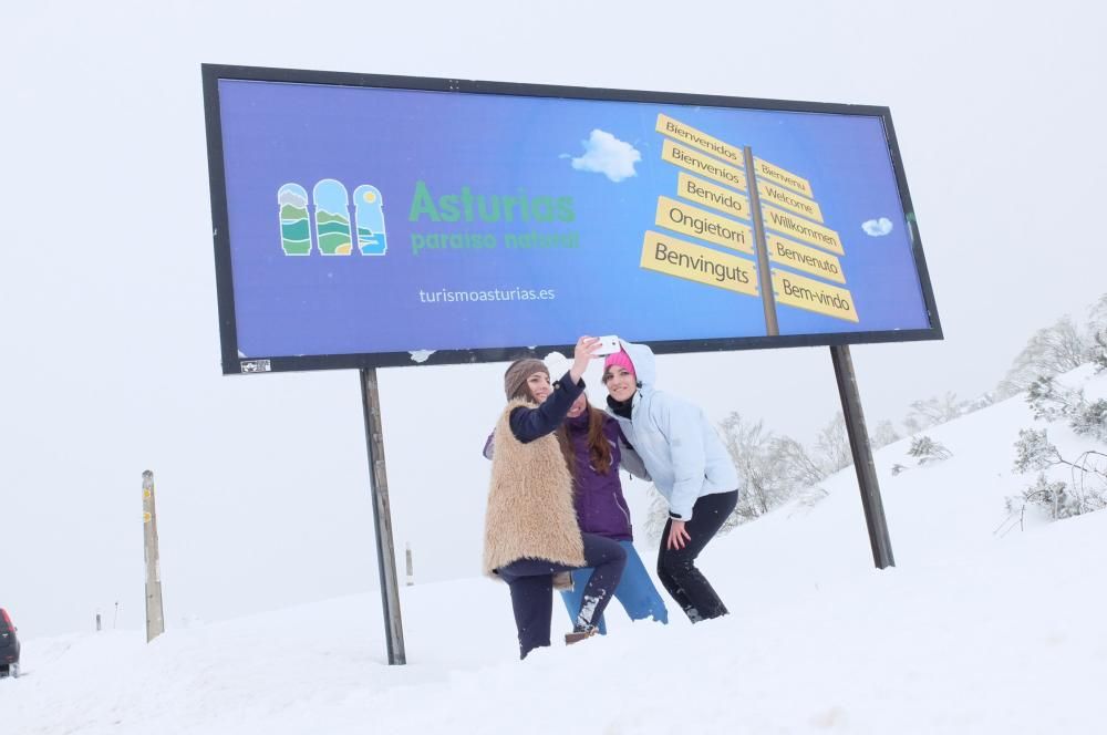 Las 40 fotos que te harán echar de menos el invierno (y la nieve) en Asturias