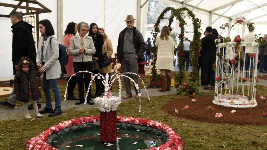 Vedra vive su fin de semana más florido con muestra de camelias y visita teatralizada