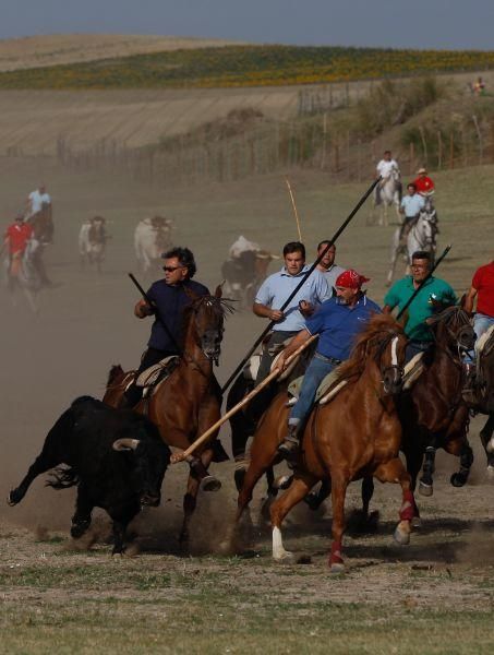 Espantes en Fuentelapeña