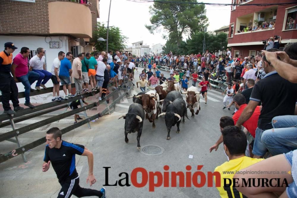 Quinto encierro en Calasparra