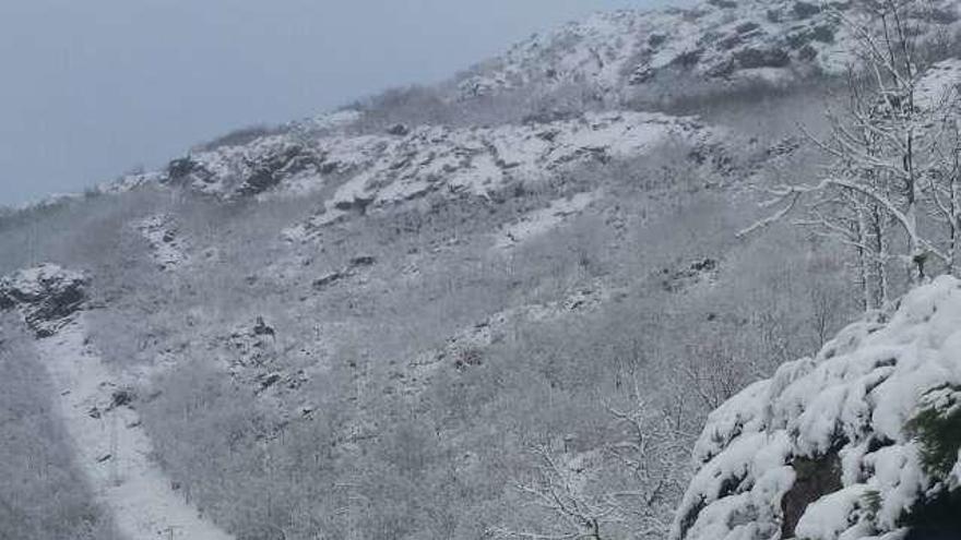 La Alta Sanabria amanece con espesores de diez centímetros de nieve