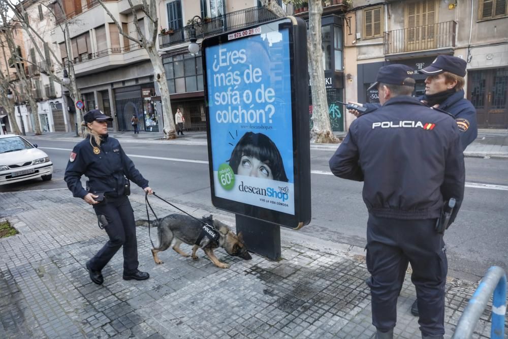 El día de la Sentencia de Nóos en la Audiencia de Palma