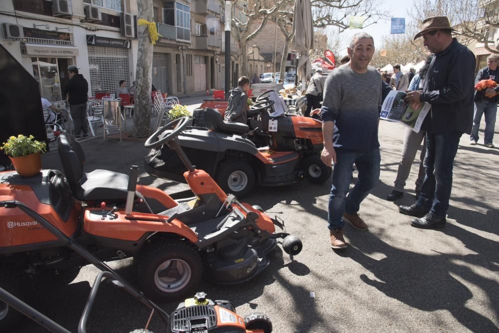 Fira de Primavera de Navàs